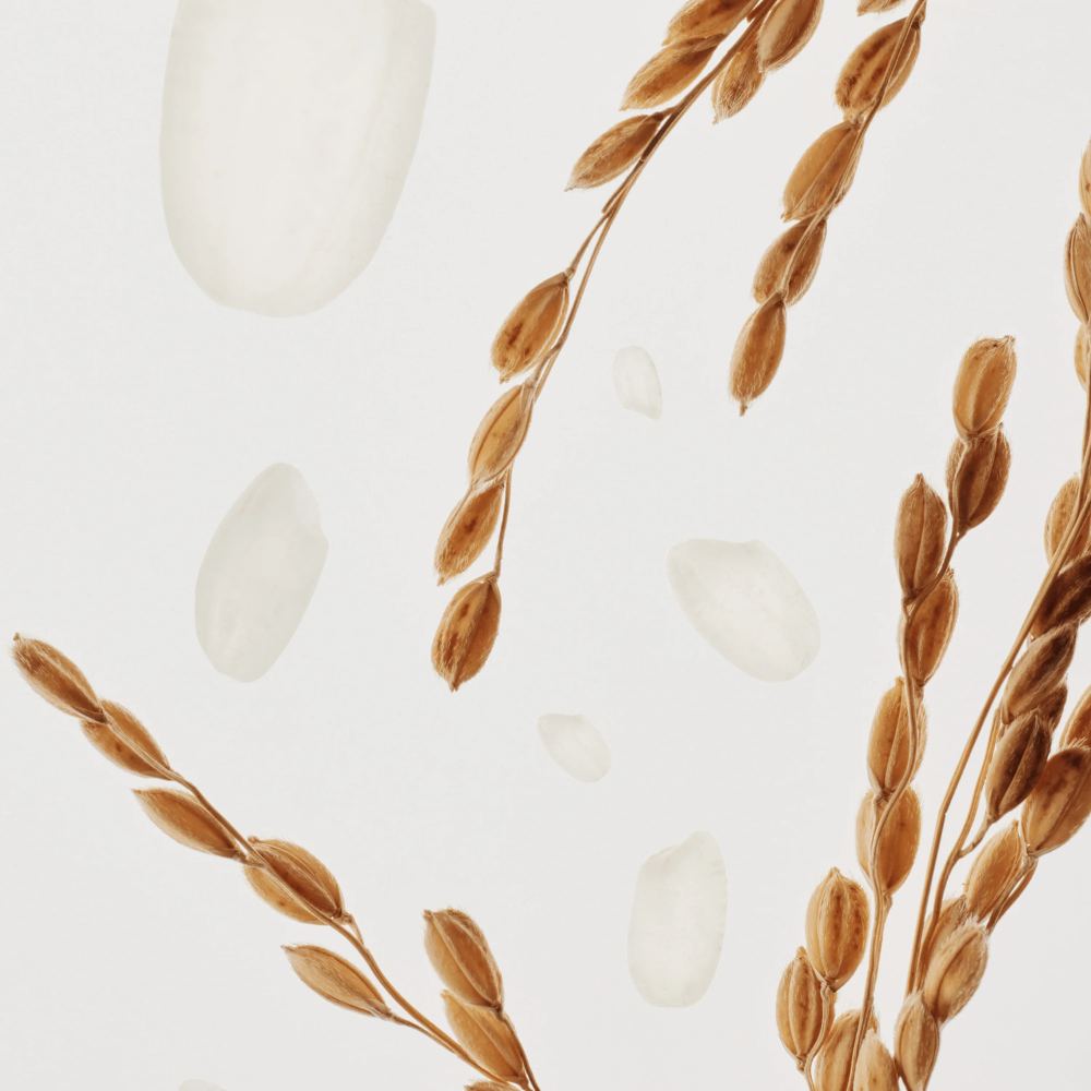 Beauty Of Joseon | Glow Deep Serum: Riž + Arbutin