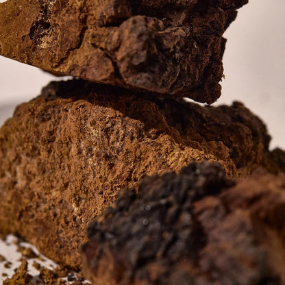 KAINE | Chaga kolagen polnilni serum